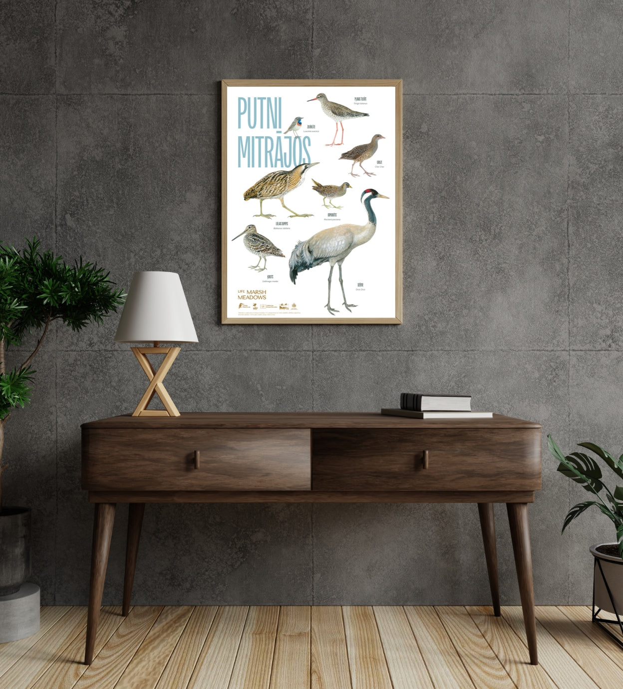 Poster “Birds in Wetlands”