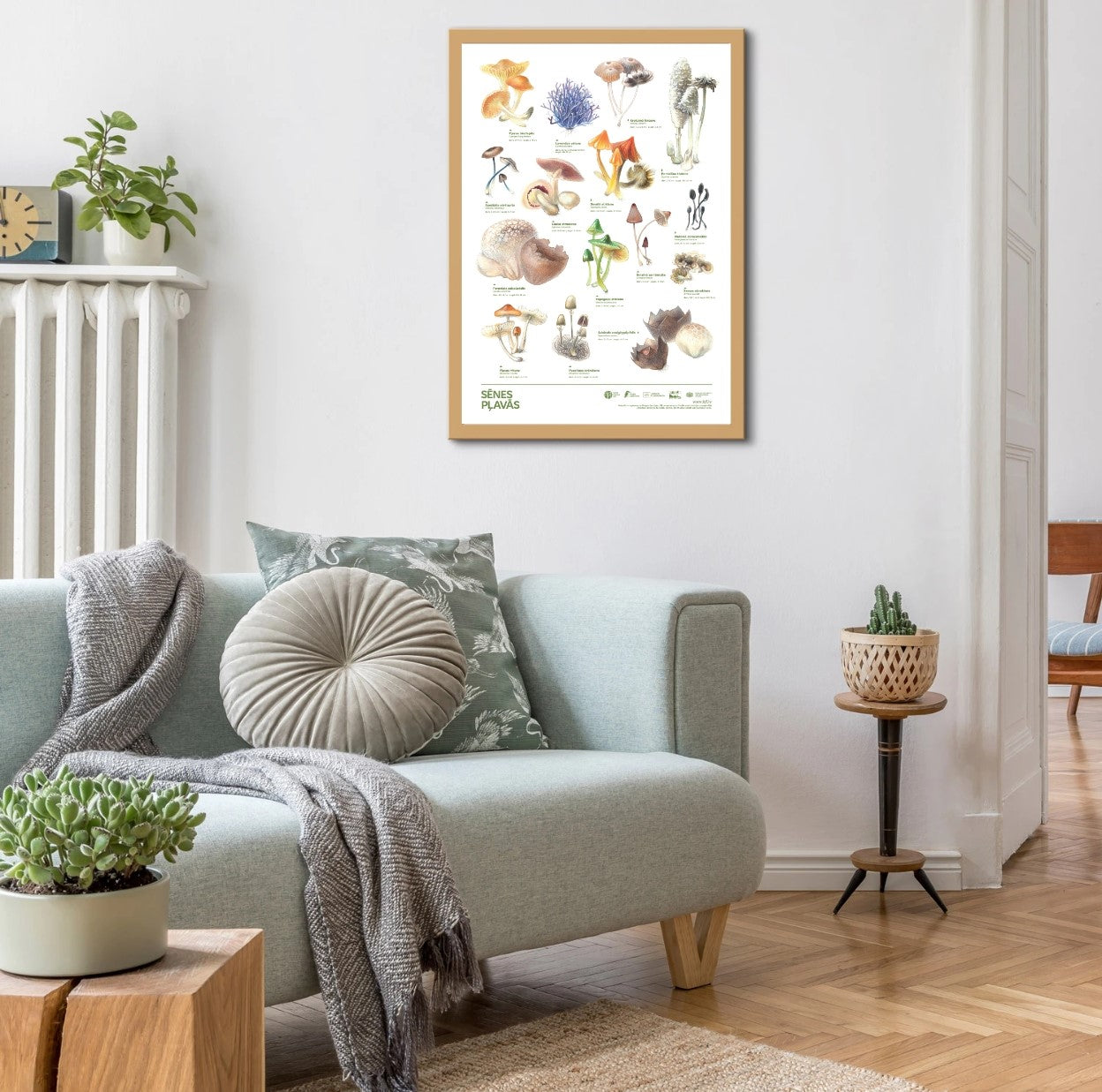 Poster “Mushrooms in Meadows"