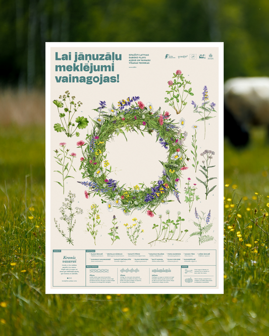 Poster "Summer Crown”