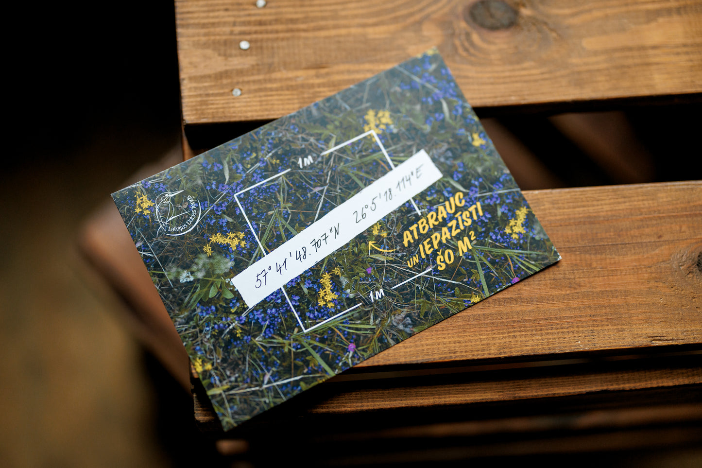 Square Meter of Natural Meadow