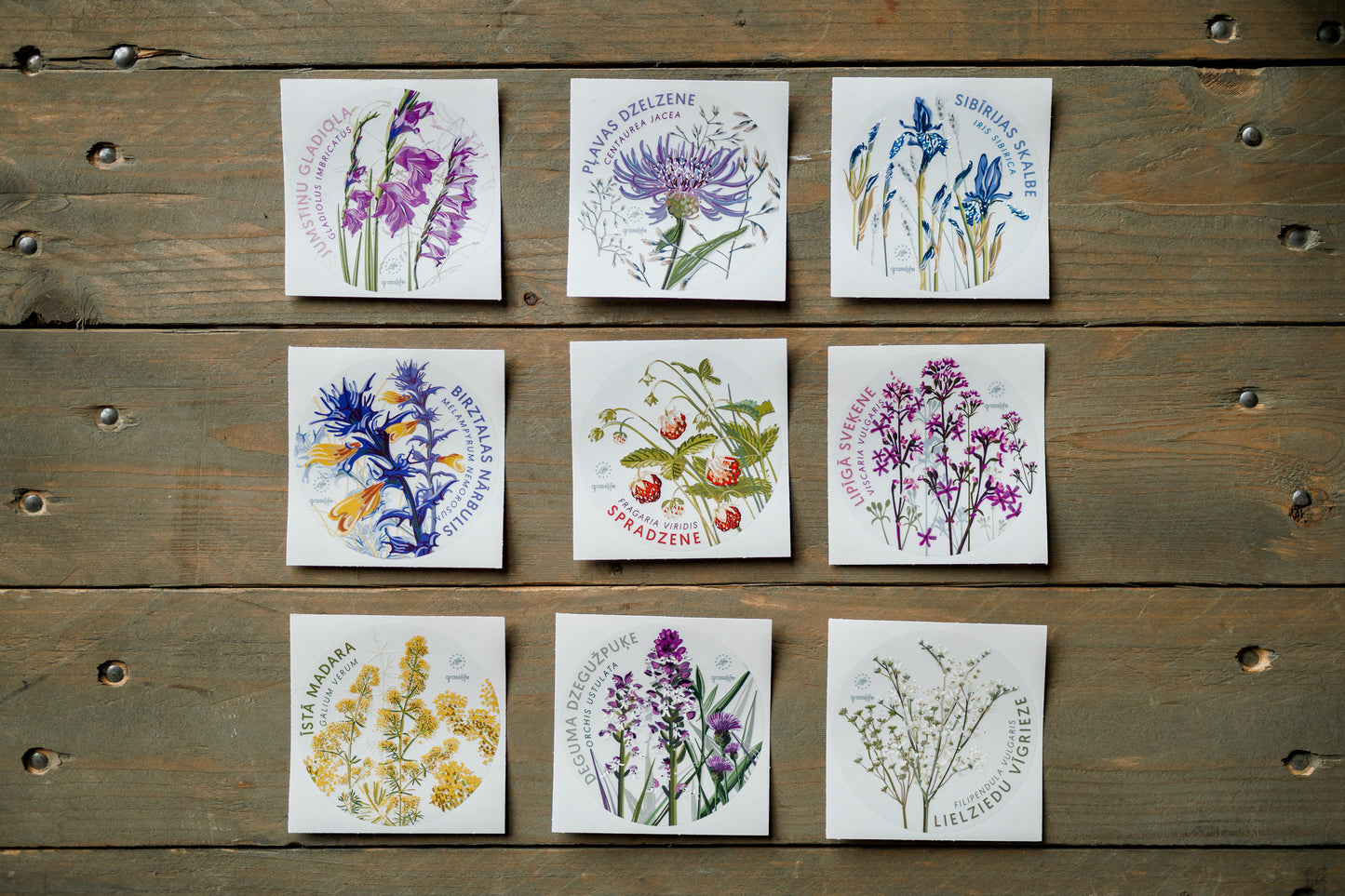 Sticker Set "Natural Meadow Plants"