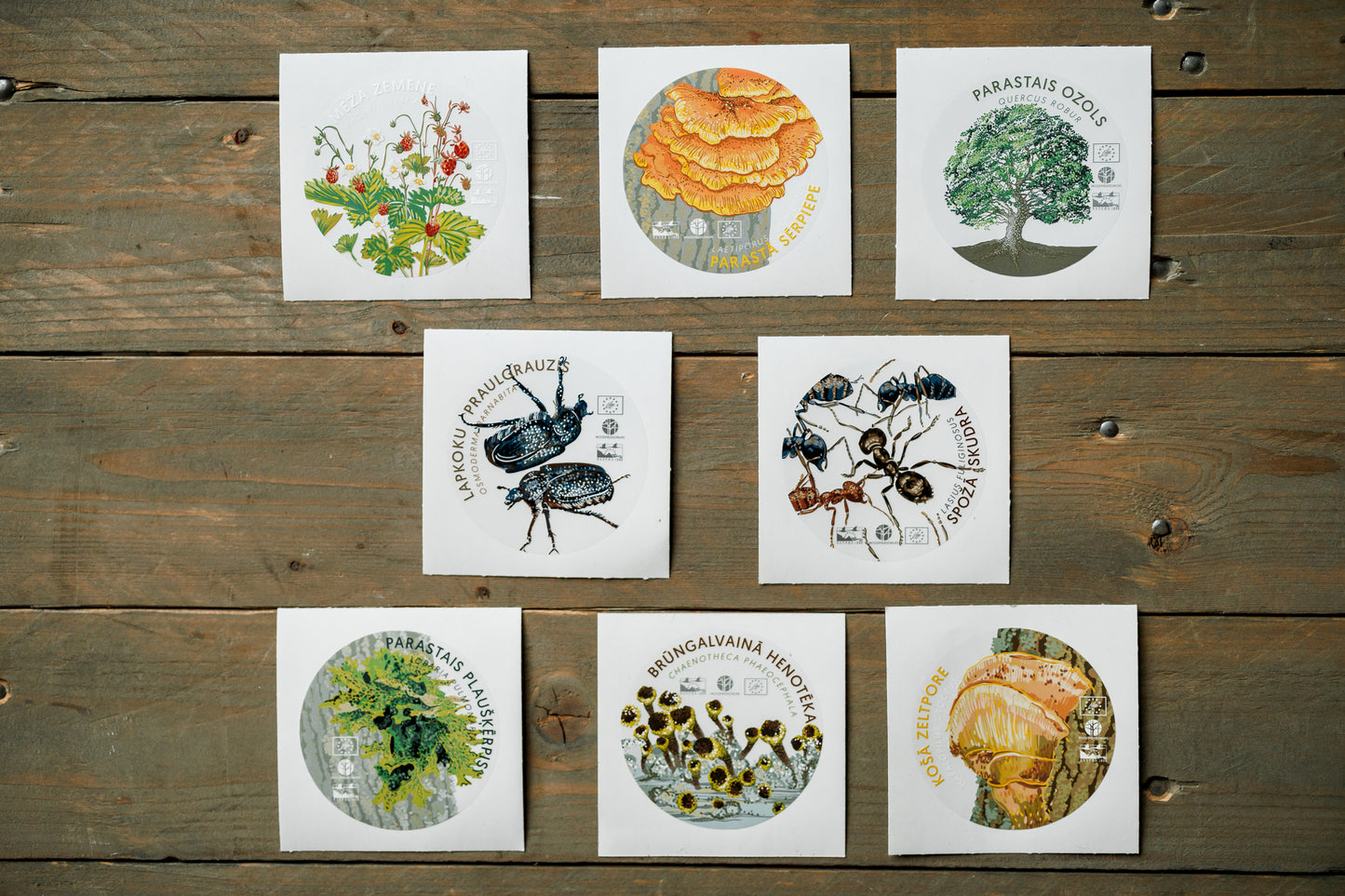 Sticker Set “Woodmeadow Species”