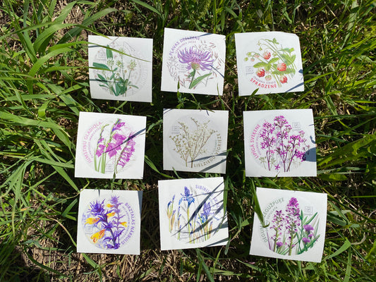 Sticker Set "Natural Meadow Plants"