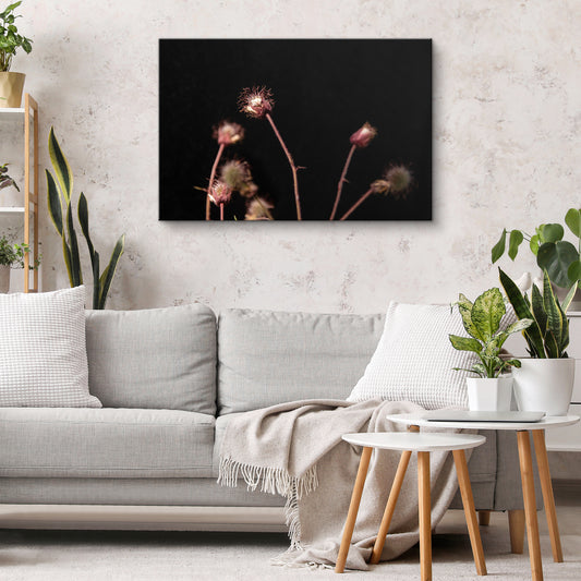 Pļavas bitenes tuvplānā II