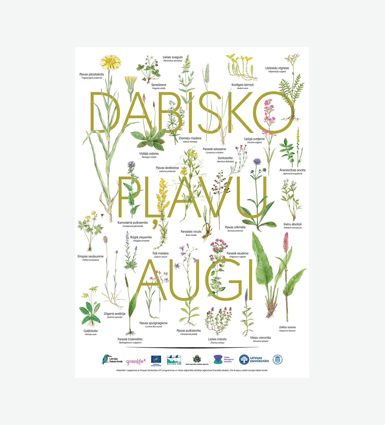 Plakāts “Dabisko pļavu augi”