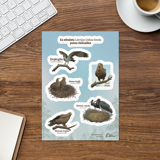 Sticker Set “Birds from Nest Livestreams” | A5
