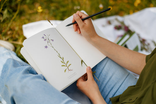 Meadow Notebook