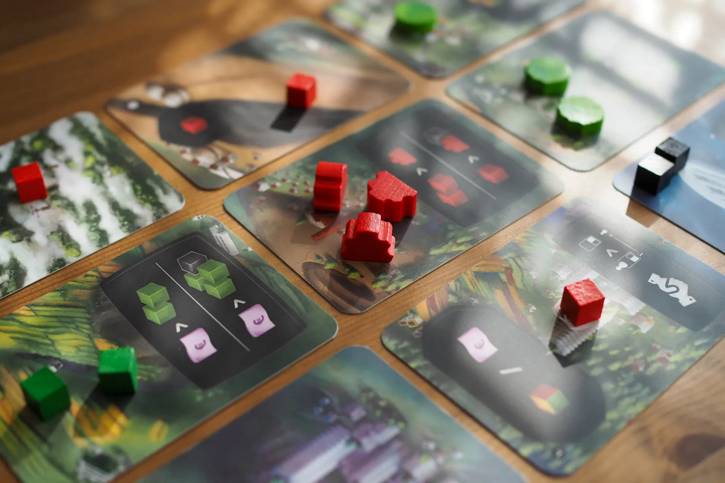 Card game "Terra Futura"