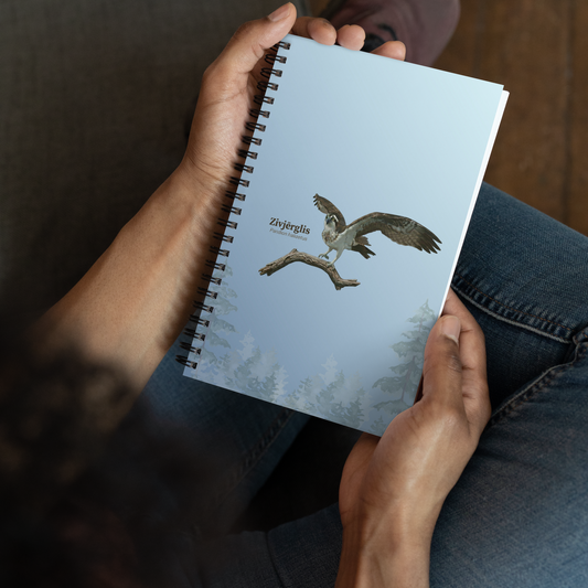 Notebook “Birds from Nest Livestreams”