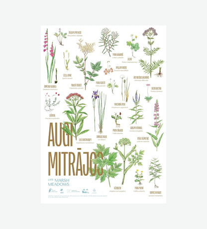 Plakāts “Augi mitrājos”