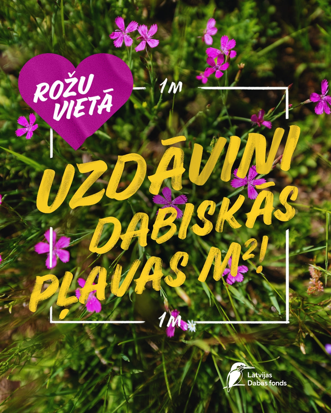 Dabiskās pļavas kvadrātmetrs