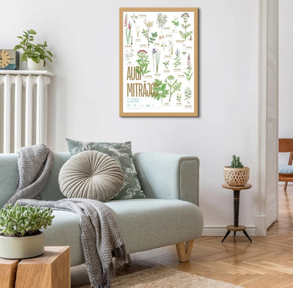 Plakāts “Augi mitrājos”