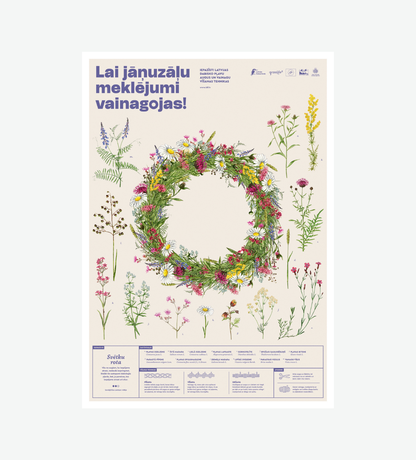 Poster "Festive Bloom”
