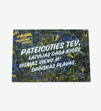 Square Meter of Natural Meadow