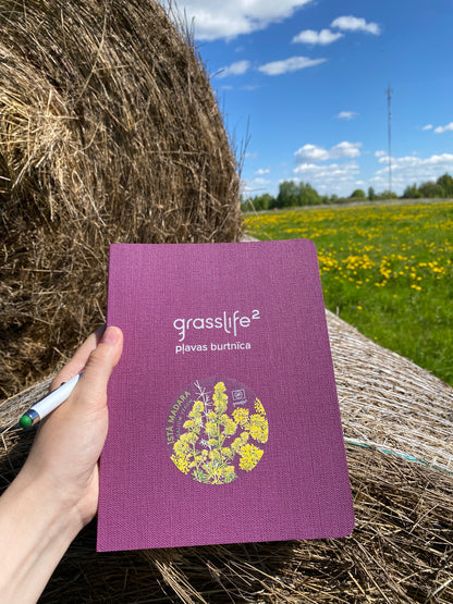 Sticker Set "Natural Meadow Plants"