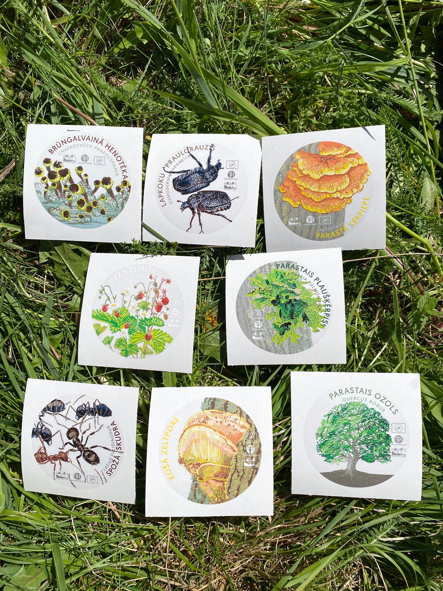 Sticker Set “Woodmeadow Species”