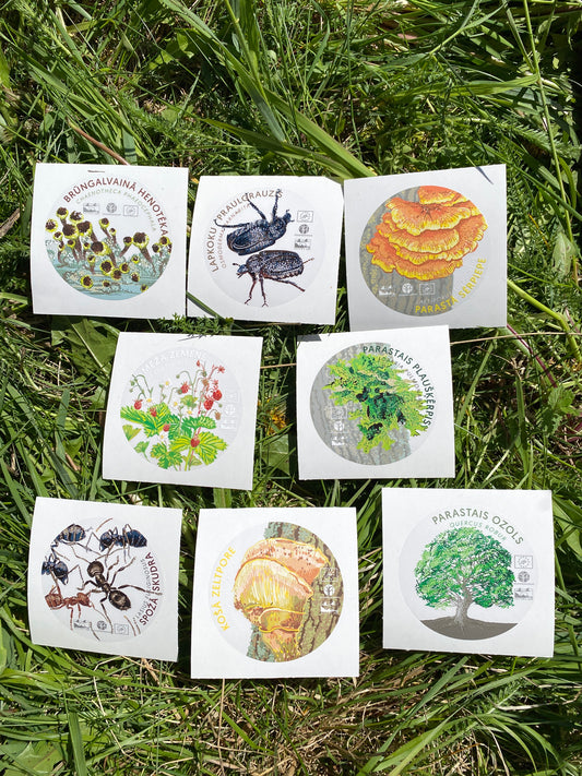 Sticker Set “Woodmeadow Species”