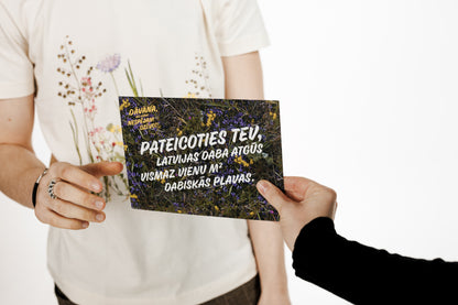 Square Meter of Natural Meadow