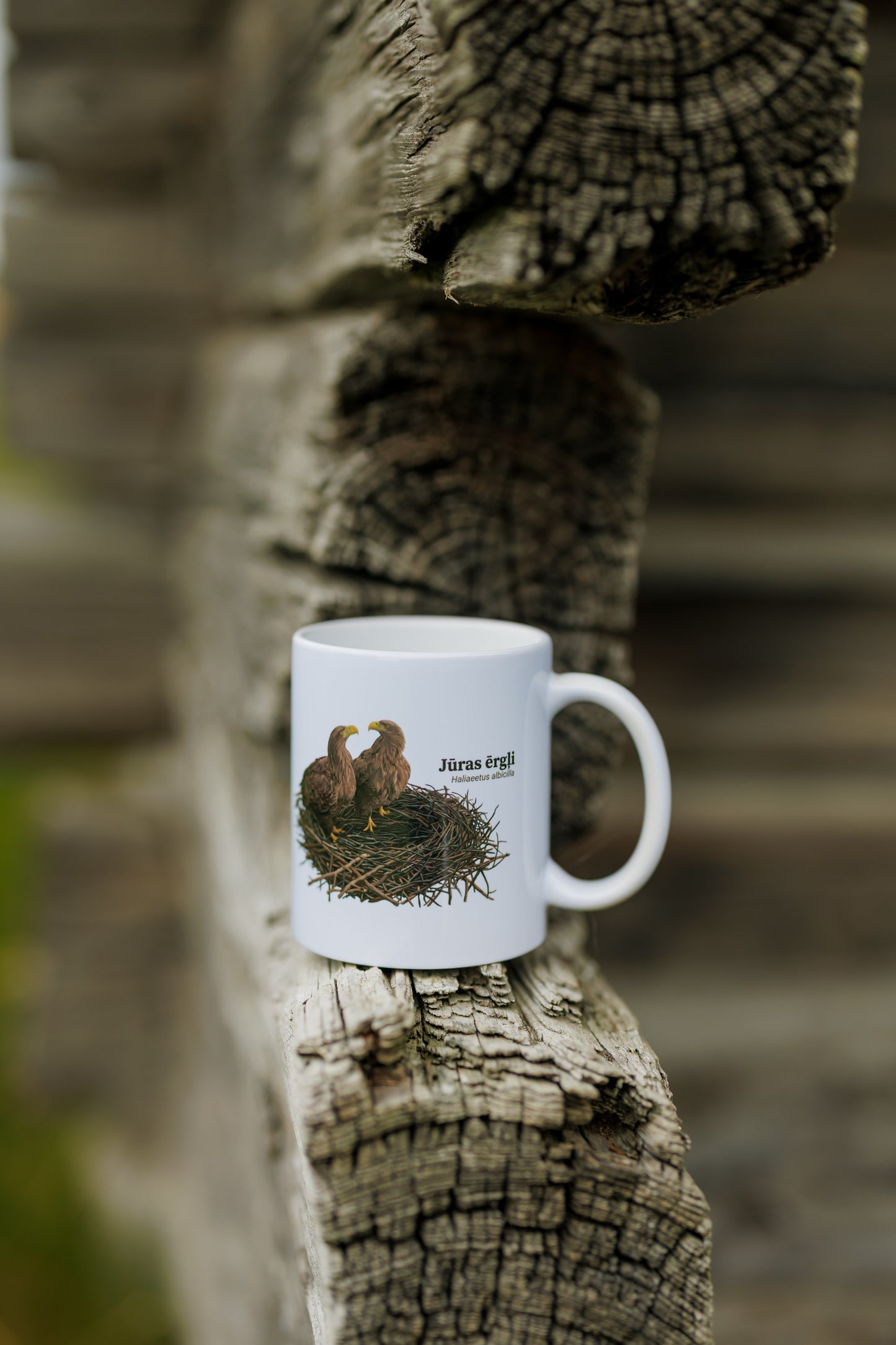 Mug “Birds from Nest Livestreams” | 325 ml