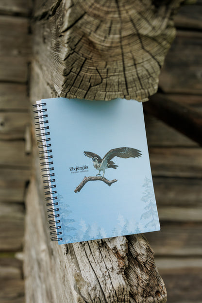 Notebook “Birds from Nest Livestreams”