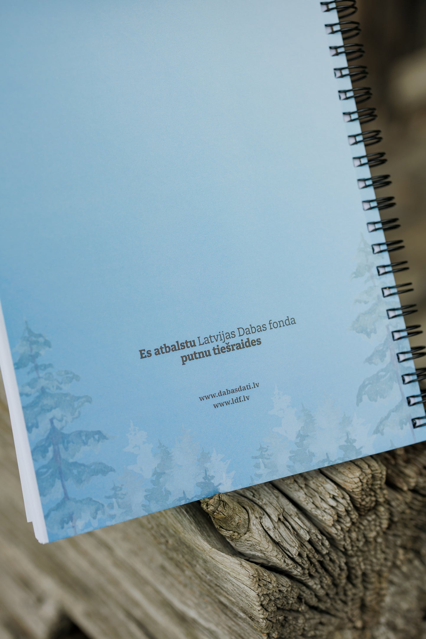 Notebook “Birds from Nest Livestreams”