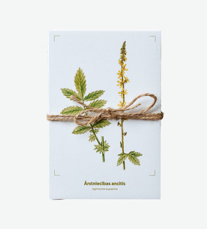 Pastkaršu komplekts "Dabisko pļavu augi"