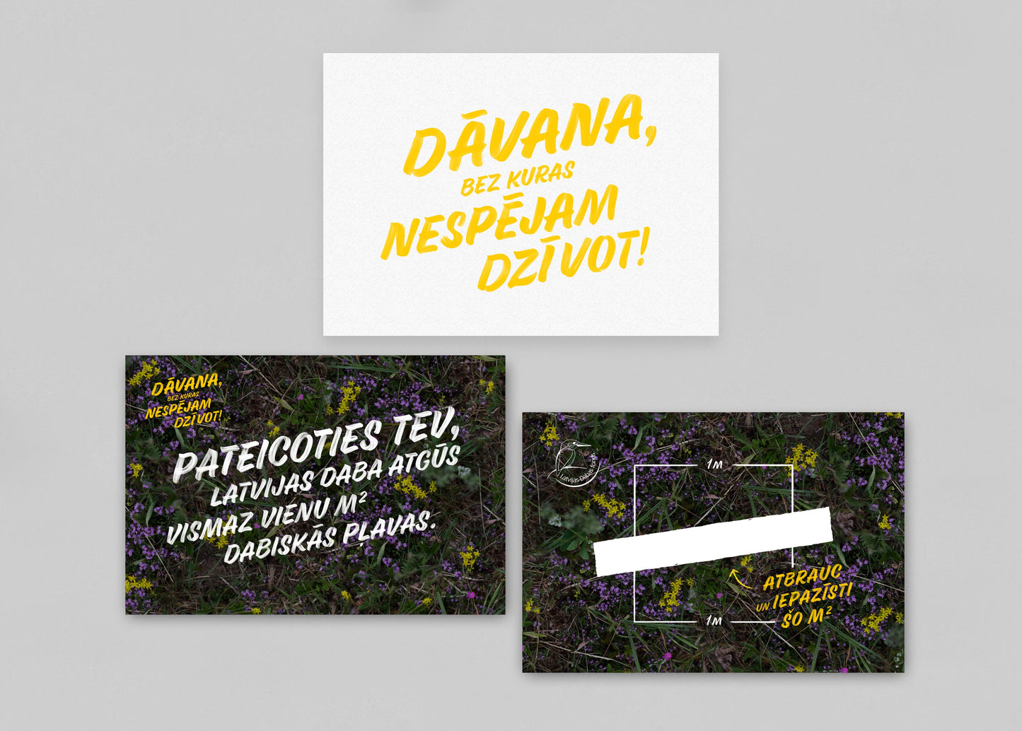 Dabiskās pļavas kvadrātmetrs