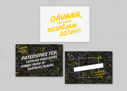 Square Meter of Natural Meadow