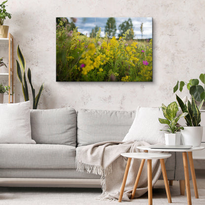 Medus smarža jūlijā 