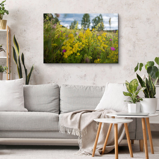 Medus smarža jūlijā 