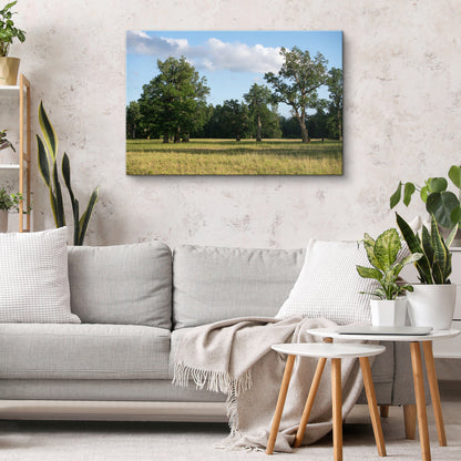 Parkveida pļava – ceļojums laikā