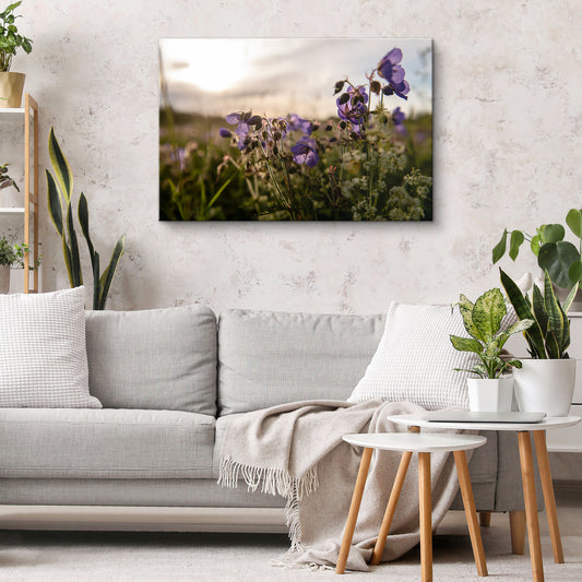 Gandrenes saulrietā