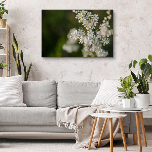 Pļavas karaliene III