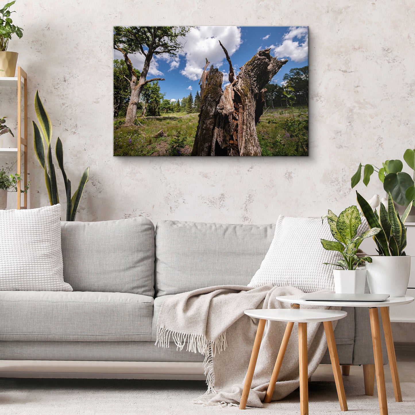 Dzīvības turpināšanās