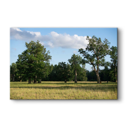 Parkveida pļava – ceļojums laikā