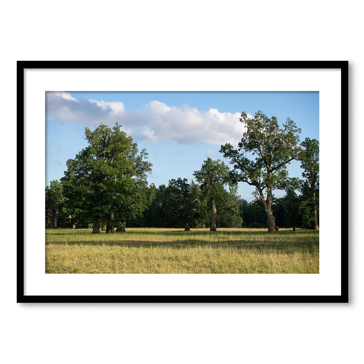 Parkveida pļava – ceļojums laikā