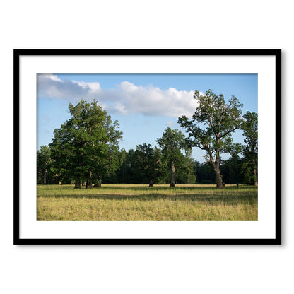 Parkveida pļava – ceļojums laikā