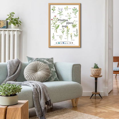 Poster "Urban Meadow Plants"