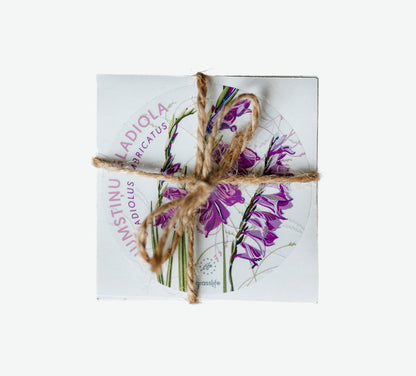 Sticker Set "Natural Meadow Plants"