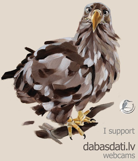 Kokvilnas T-krekls “Es atbalstu Dabasdati.lv putnu tiešraides” ar jūras ērgli