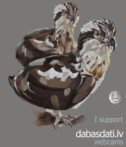 Kokvilnas T-krekls “Es atbalstu Dabasdati.lv putnu tiešraides” ar zivjērgļiem