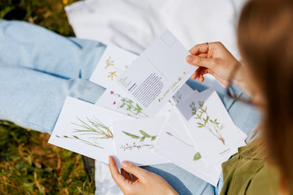 Pastkaršu komplekts "Dabisko pļavu augi"