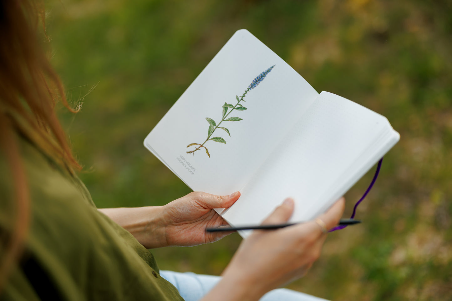 Meadow Notebook