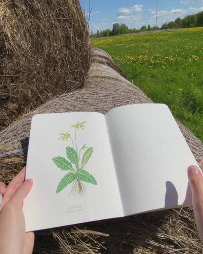 Meadow Notebook