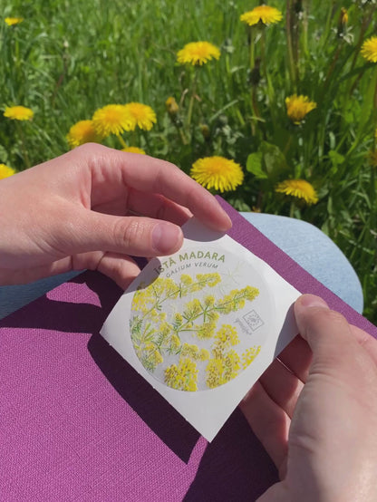 Sticker Set "Natural Meadow Plants"