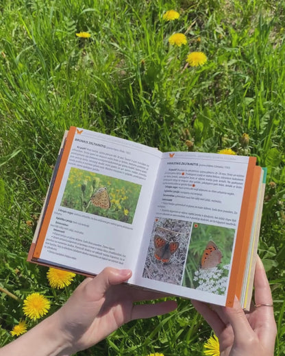 Illustrative Handbook - Species Identifier "What Grows in Natural Meadows? What Lives in Natural Meadows?"