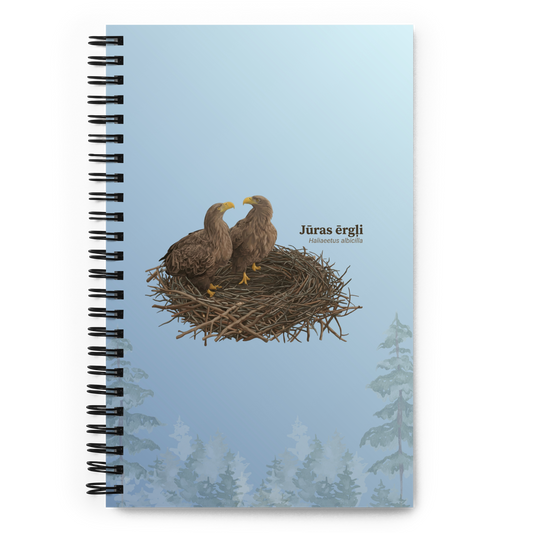 Notebook “Birds from Nest Livestreams”