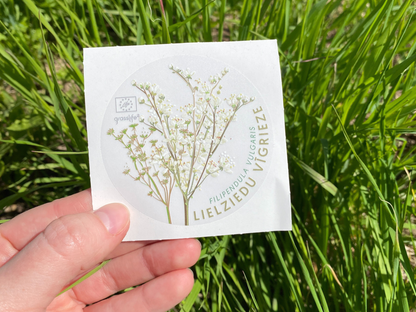 Sticker Set "Natural Meadow Plants"
